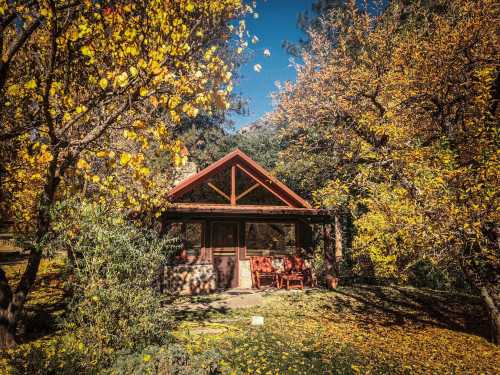 A cozy cabin surrounded by vibrant autumn foliage and trees, with a clear blue sky above.