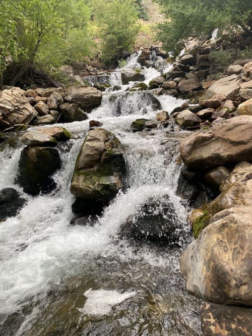 A cascading stream flows over rocks, surrounded by lush greenery and trees.