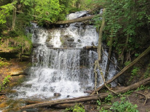 A serene waterfall cascades over rocks, surrounded by lush green trees and fallen logs in a tranquil forest setting.