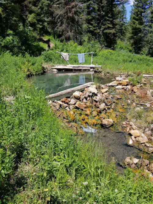 A serene natural scene featuring a small pond, rocks, and a wooden bridge with clothes hanging nearby, surrounded by greenery.