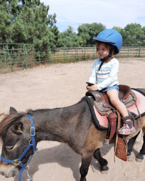 A young child in a blue helmet sits on a pony, holding a phone, in a sandy riding area surrounded by trees.