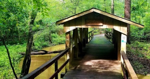 A wooden bridge leads into a lush, green forest, with a calm stream visible on one side. Sunlight filters through the trees.