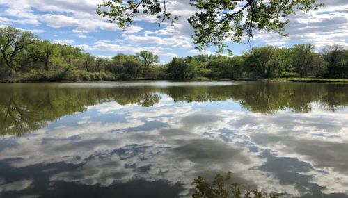 A serene lake surrounded by lush greenery, reflecting clouds and trees in calm water under a blue sky.