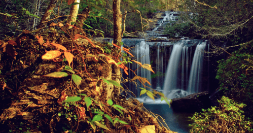 A serene waterfall cascades through lush greenery, surrounded by vibrant foliage and tranquil water.