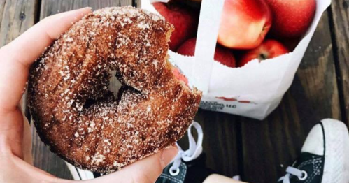 A hand holds a cinnamon sugar donut with a bite taken out, next to a bag of red apples on a wooden surface.