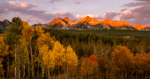 Sunlit mountains rise above a forest of vibrant autumn trees, showcasing shades of orange and gold against a twilight sky.