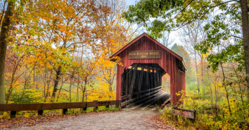 A red covered bridge surrounded by vibrant autumn foliage and a misty atmosphere.