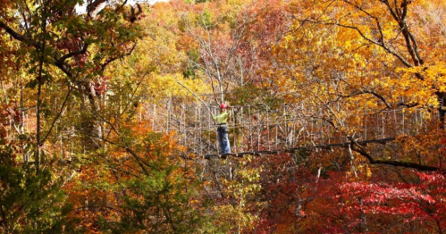 A person walks on a suspension bridge surrounded by vibrant autumn foliage in a forest.