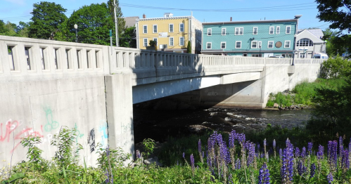A concrete bridge spans a small river, with colorful buildings and blooming flowers in the foreground.