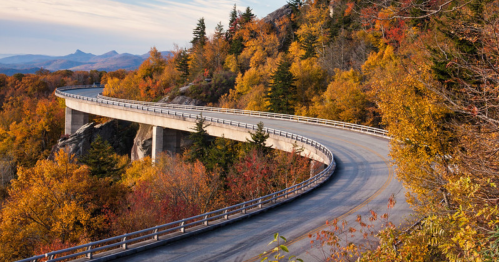 A winding road curves through vibrant autumn foliage, with mountains in the background under a clear sky.