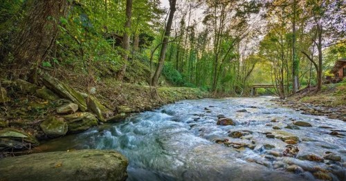 A serene stream flows through a lush, green forest, with rocks lining the water and a bridge in the background.