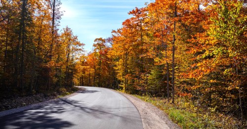 A winding road surrounded by vibrant autumn trees with orange and yellow leaves under a clear blue sky.