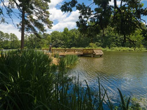 A wooden dock extends into a calm lake, surrounded by lush greenery and trees under a partly cloudy sky.