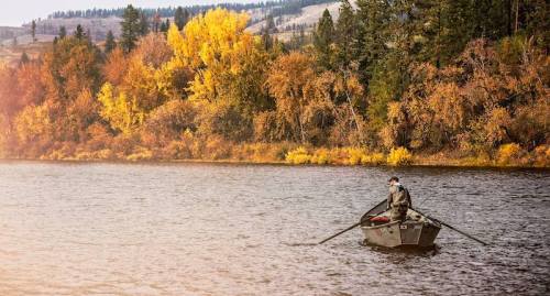 A person rows a small boat on a calm river surrounded by vibrant autumn foliage.