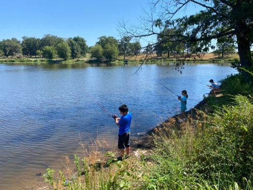 Two children fish by a calm lake, surrounded by greenery and trees on a sunny day.