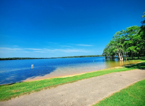 A serene lake view with clear blue water, green grass, and trees under a bright blue sky.