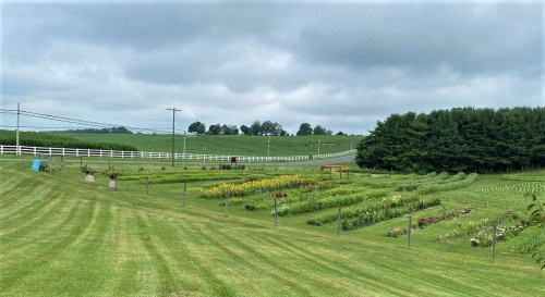 A lush green landscape featuring flower beds, trees, and a cloudy sky, with a winding road in the background.