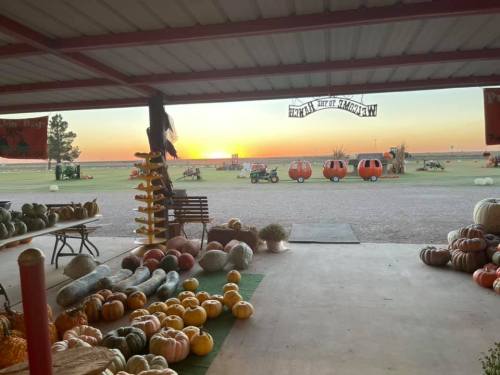 A farm stand filled with pumpkins and gourds, with a sunset in the background and pumpkin-shaped carts in the distance.