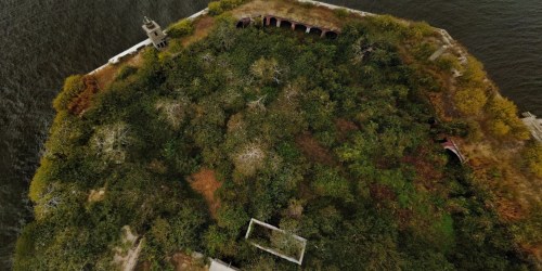 Aerial view of an overgrown island with trees, ruins, and a distant waterline.