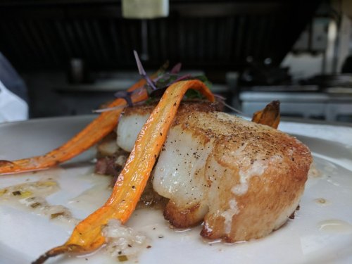 A beautifully plated dish featuring seared fish, garnished with vibrant carrots and microgreens on a white plate.