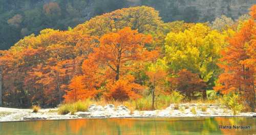 Vibrant autumn trees in shades of orange and yellow reflect in a calm lake, surrounded by lush greenery.