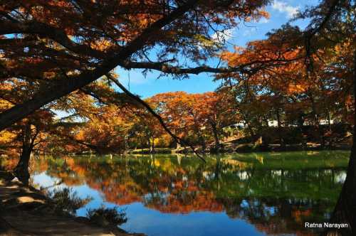 A serene lake surrounded by vibrant autumn trees reflecting on the water under a clear blue sky.