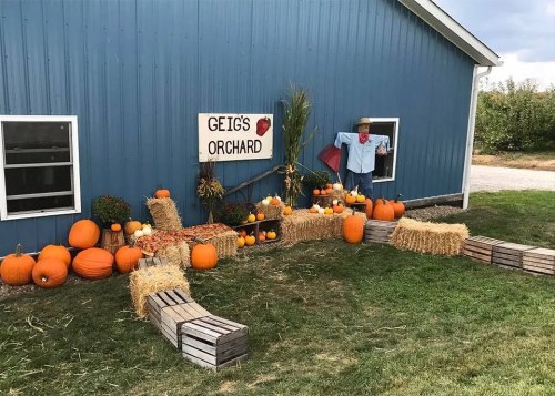 A blue building with a sign reading "Geig's Orchard," decorated with pumpkins, hay bales, and a scarecrow.