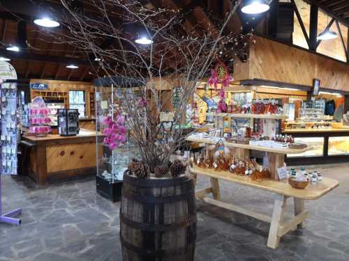 Interior of a rustic store featuring wooden displays, decorative plants, and various handmade products for sale.