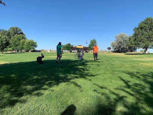 Two people playing disc golf in a grassy park, with a dog nearby and trees in the background under a clear blue sky.