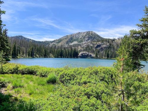 A serene lake surrounded by lush greenery and mountains under a clear blue sky.