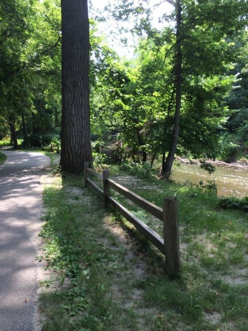 A peaceful path lined with trees and a wooden fence, next to a calm river in a lush green park.
