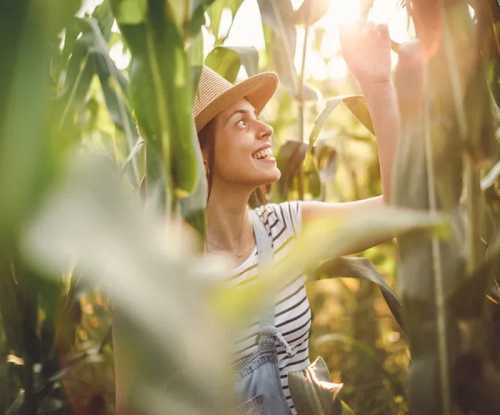 A smiling woman in a straw hat stands among tall corn plants, enjoying the sunlight in a field.