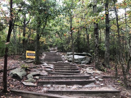 A stone staircase leads through a wooded area, with a warning sign visible on the side.