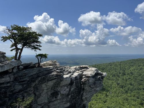 A rocky cliff with a lone tree overlooks a vast green landscape under a blue sky with fluffy clouds.