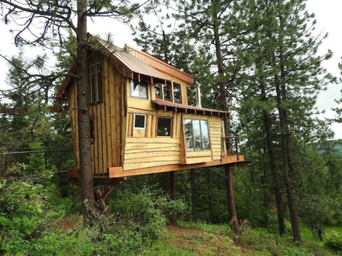 A wooden treehouse perched among tall pine trees, featuring large windows and a sloped roof.