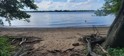 A serene lakeside view with a sandy shore, gentle waves, and trees framing the scene under a partly cloudy sky.