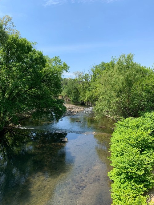 A serene river flows through lush greenery under a clear blue sky, with trees lining the banks.