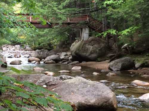 A serene forest scene featuring a stream with smooth rocks and a wooden bridge in the background, surrounded by trees.