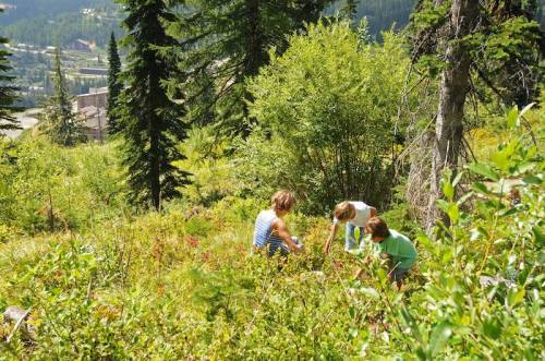 Three children exploring a lush green hillside, surrounded by trees and shrubs, with a scenic view in the background.