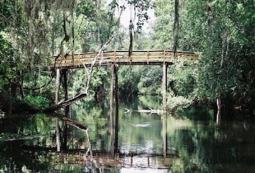 A wooden bridge arches over a calm, reflective river surrounded by lush green trees and hanging moss.