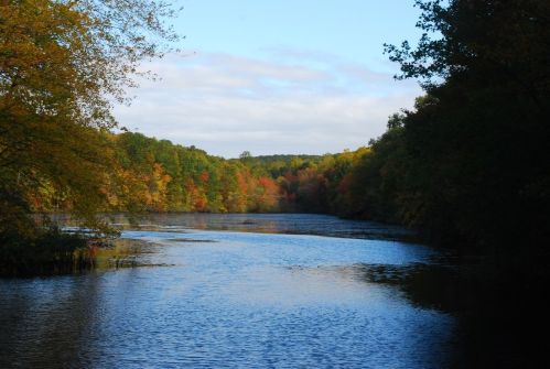 A serene river surrounded by trees displaying autumn colors under a clear blue sky.