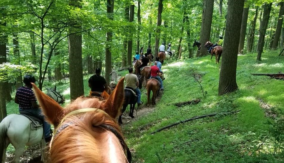 Misty Manor Riding Stable In Maryland Offers Trail Rides