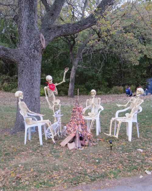 Four skeletons in chairs around a campfire, with a tree in the background and autumn leaves scattered on the ground.