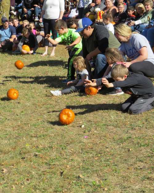 Children and adults watch as pumpkins roll on the grass during a festive outdoor event.