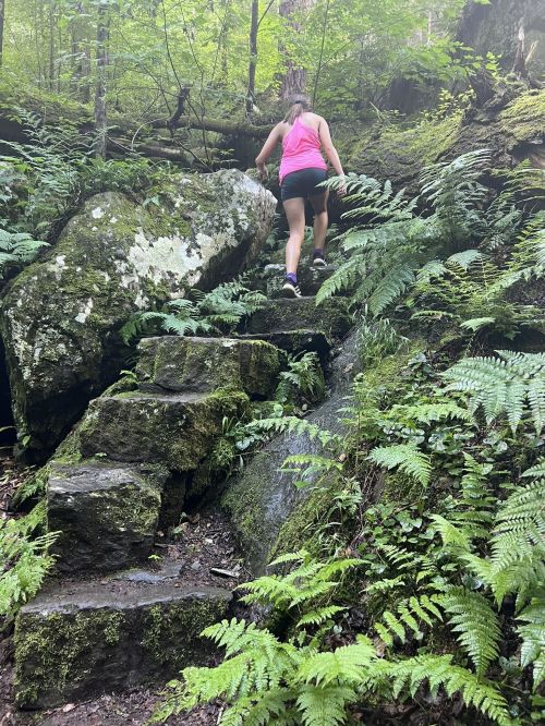 A person in a pink tank top climbs stone steps surrounded by lush greenery and ferns in a forested area.