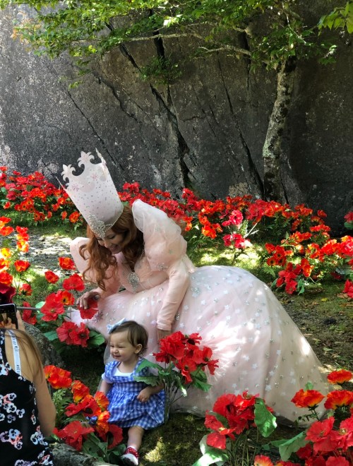 A princess in a pink gown and crown kneels beside a child in a blue dress, surrounded by vibrant red flowers.
