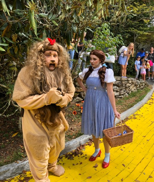 A person in a lion costume stands next to a girl in a blue dress holding a basket, on a yellow brick road.