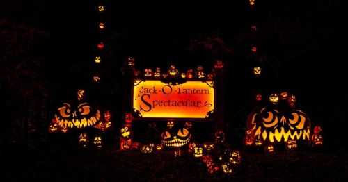 A dark scene featuring a sign for "Jack-O-Lantern Spectacular" surrounded by numerous glowing jack-o-lanterns.
