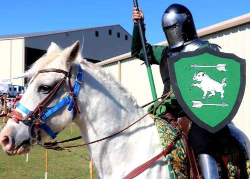 A knight in armor rides a white horse, holding a spear and a green shield featuring a boar design.