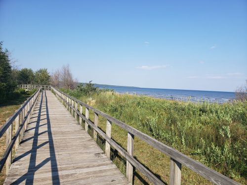 A wooden boardwalk leads through lush greenery to a serene lake under a clear blue sky.